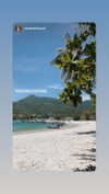 molly_fridman Altpins Profile Picture
