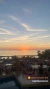 molly_fridman Altpins Profile Picture