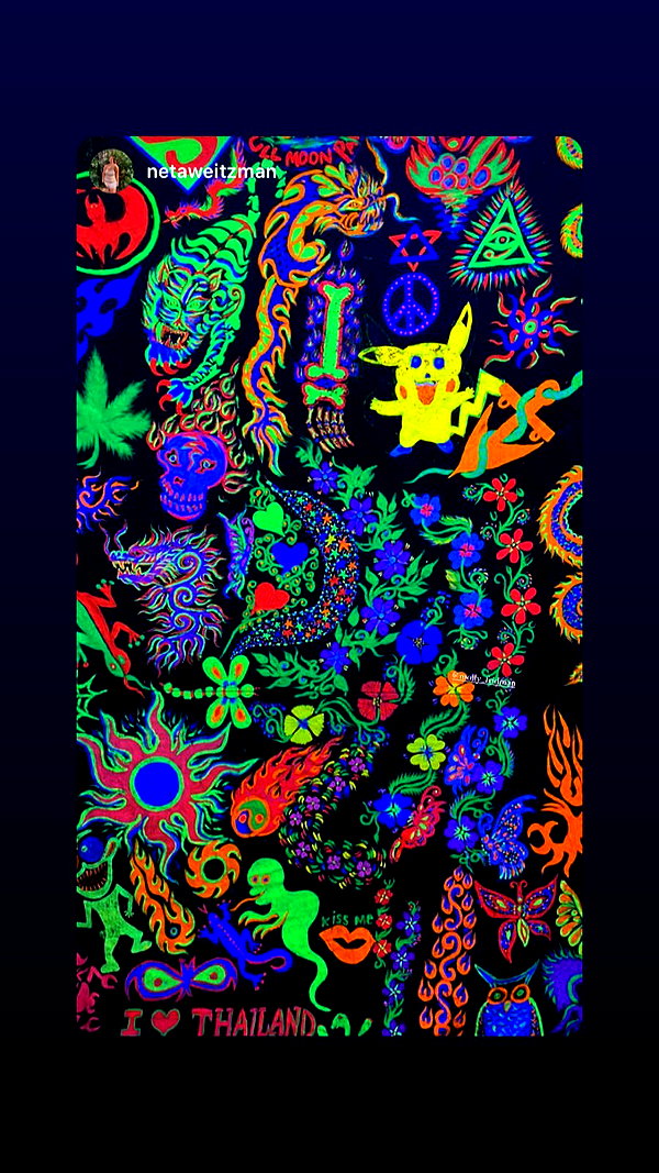 molly_fridman molly_fridman archive image