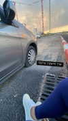 molly_fridman Altpins Profile Picture