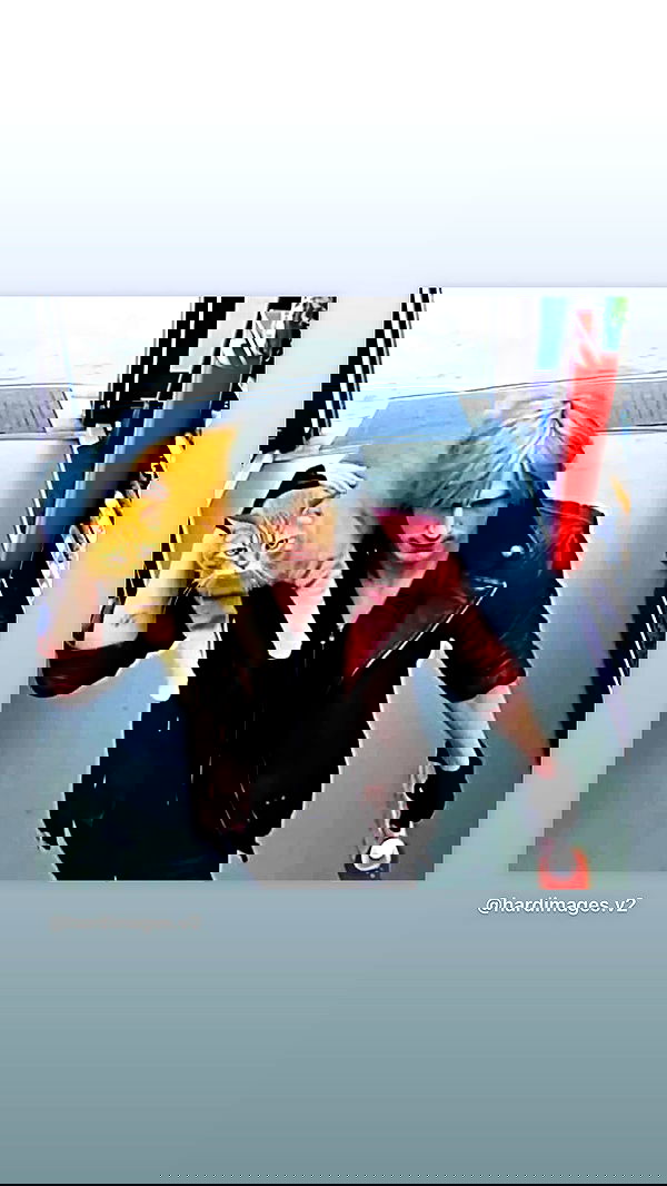 moonliliaght moonliliaght archive image