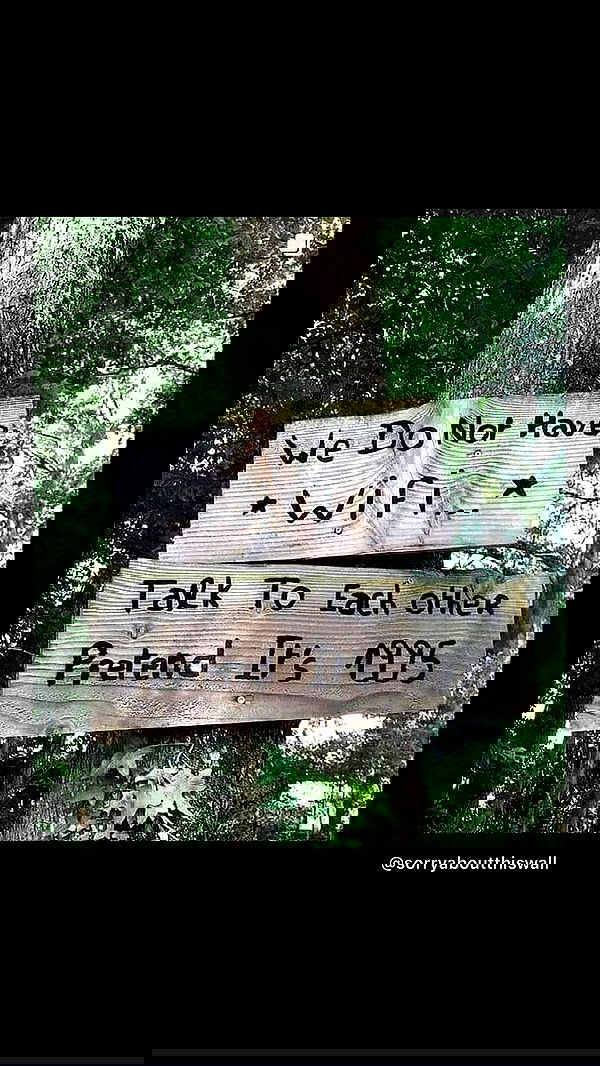 moonliliaght moonliliaght archive image