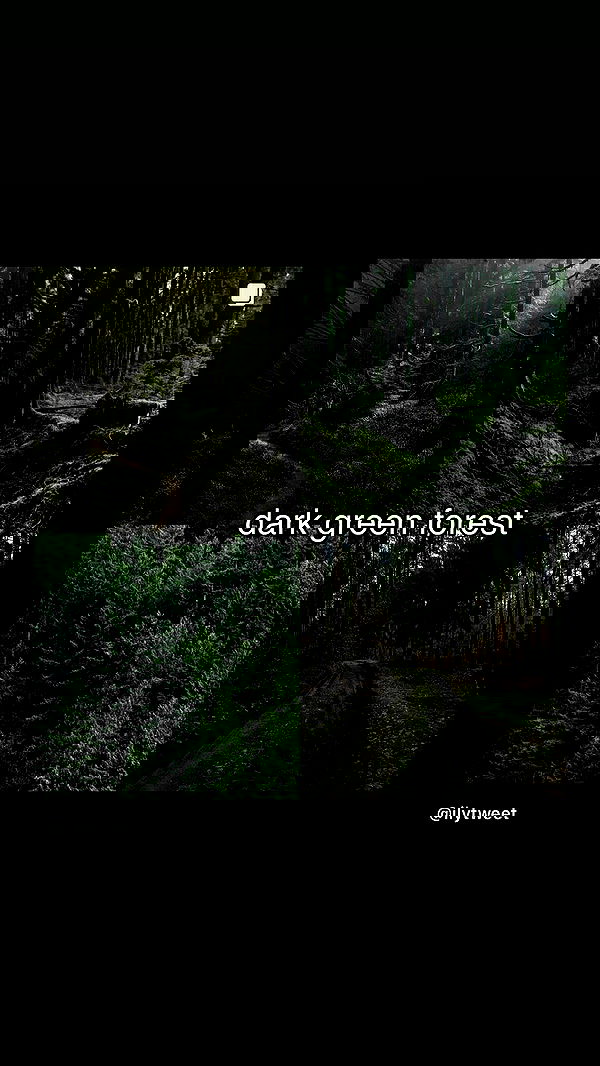 moonliliaght moonliliaght archive image