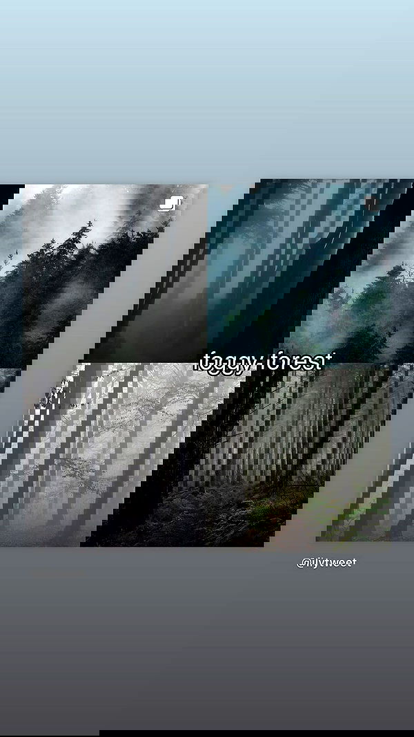 moonliliaght moonliliaght archive image