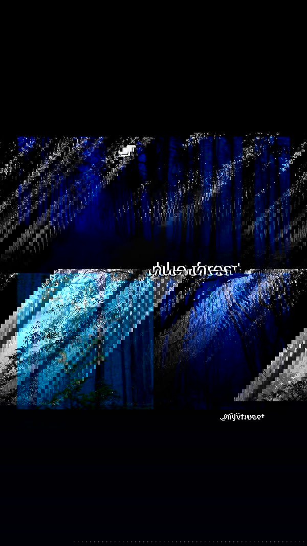 moonliliaght moonliliaght archive image