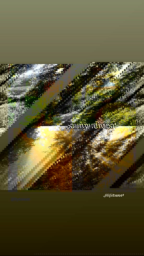 moonliliaght moonliliaght archive image