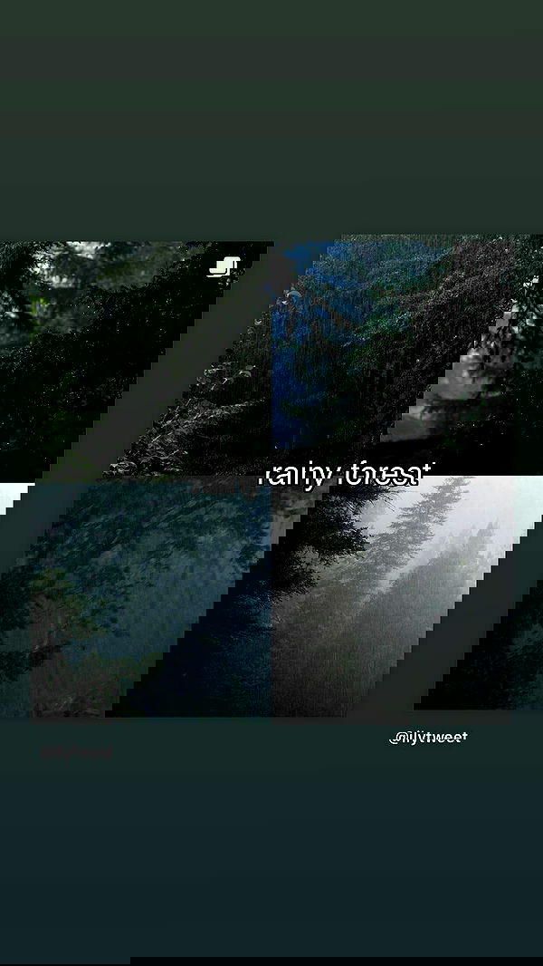 moonliliaght moonliliaght archive image