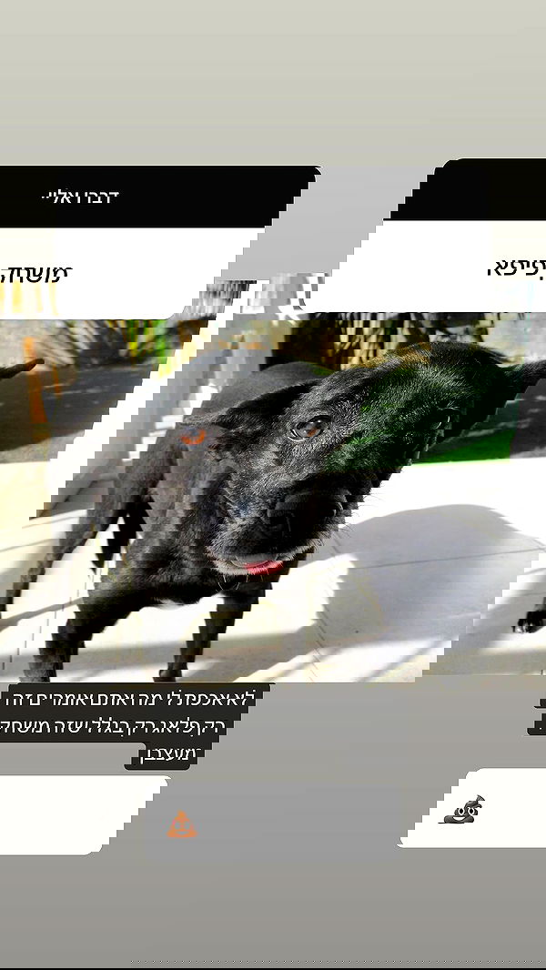 moonliliaght moonliliaght archive image