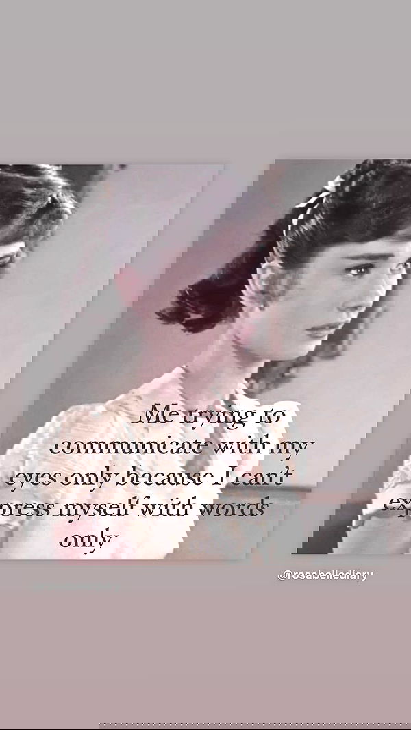 moonliliaght moonliliaght archive image