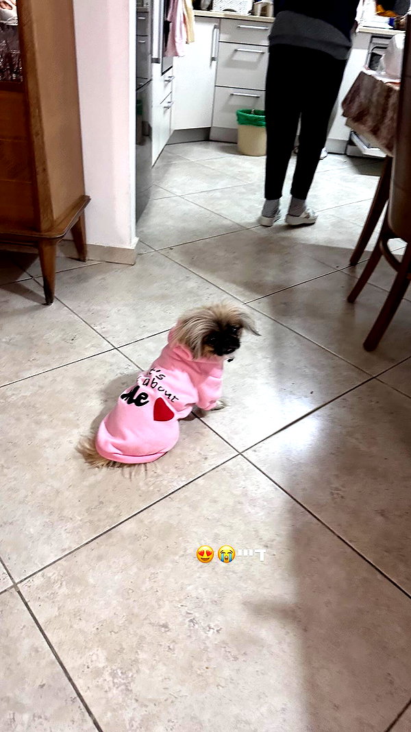 natahalieeee instagram image archive image