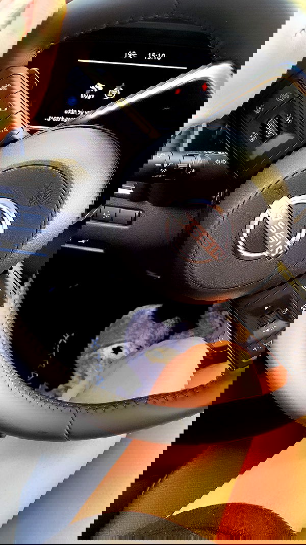 noyaislilith333 noyaislilith333 archive image