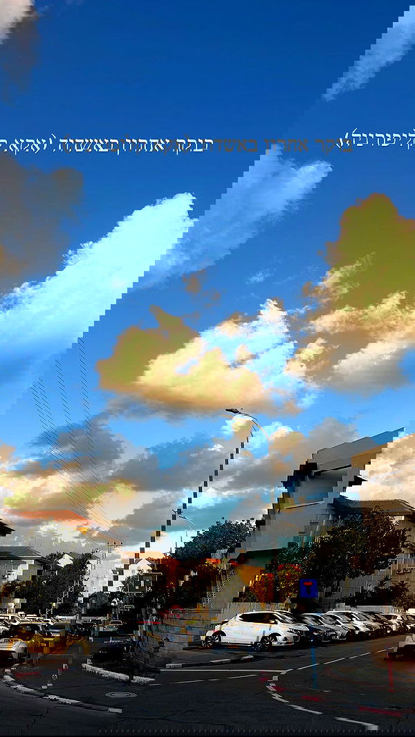 rinsrain rinsrain archive image