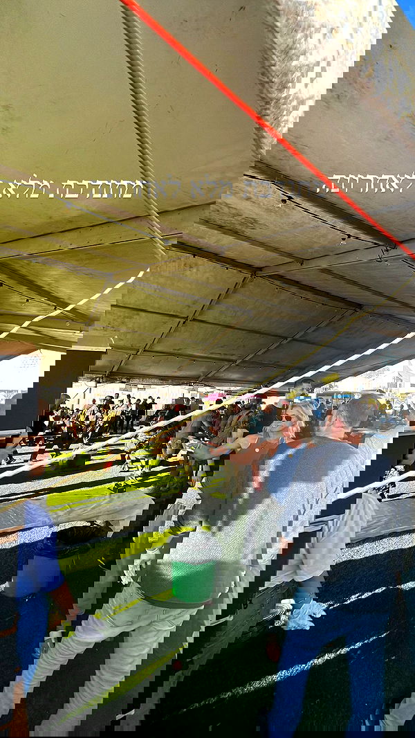 rinsrain rinsrain archive image