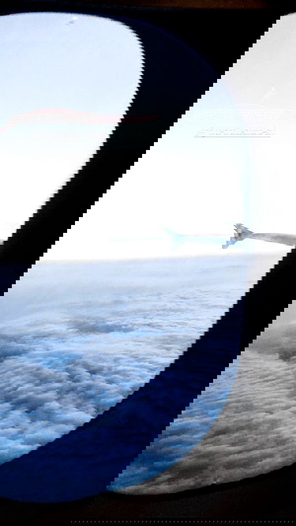 roni.benshushan roni.benshushan archive image