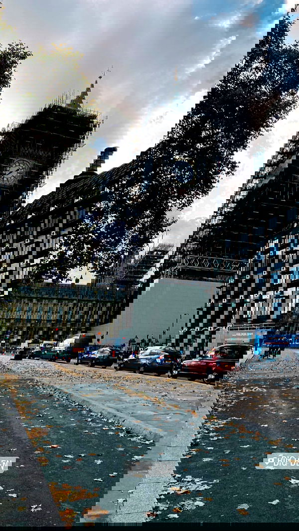 roni.benshushan roni.benshushan archive image