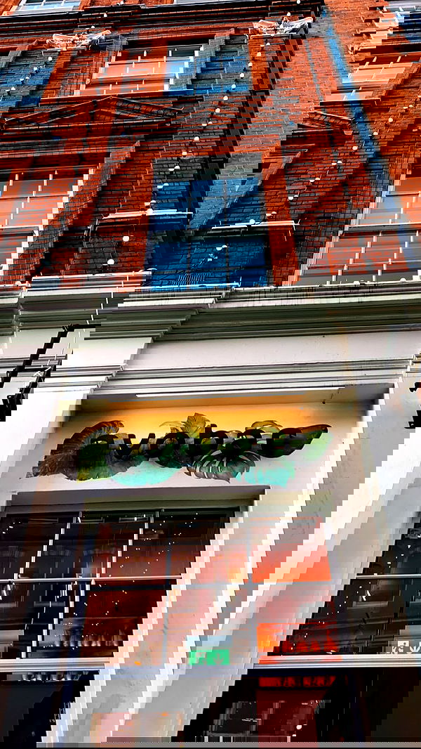 roni.benshushan roni.benshushan archive image