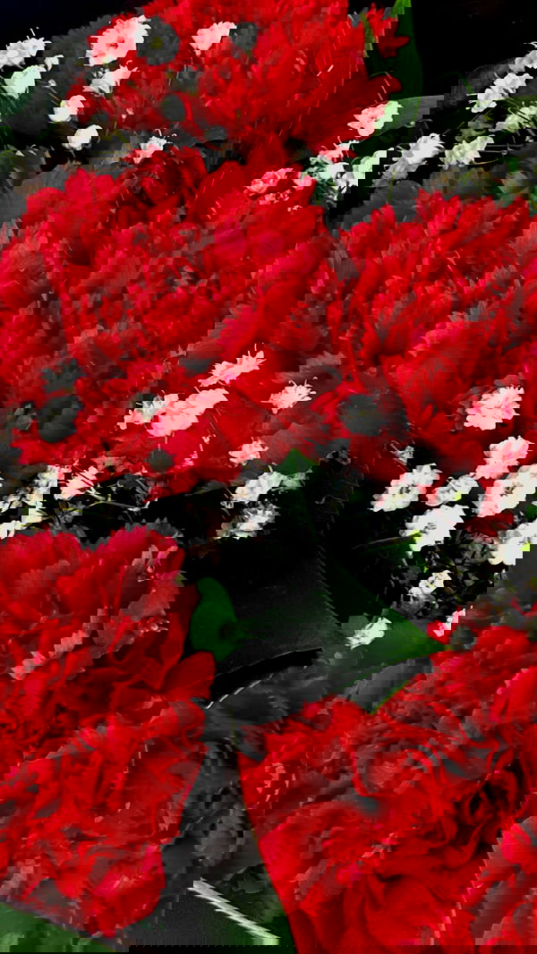 roni.benshushan roni.benshushan archive image