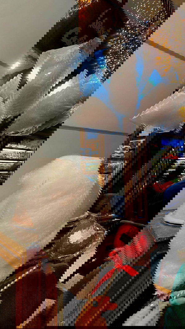 roni.benshushan roni.benshushan archive image