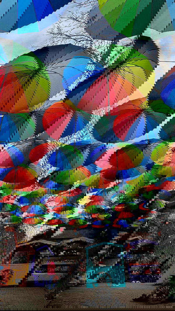 roni.benshushan roni.benshushan archive image