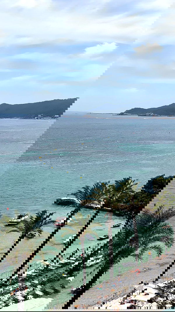 roni.benshushan roni.benshushan archive image