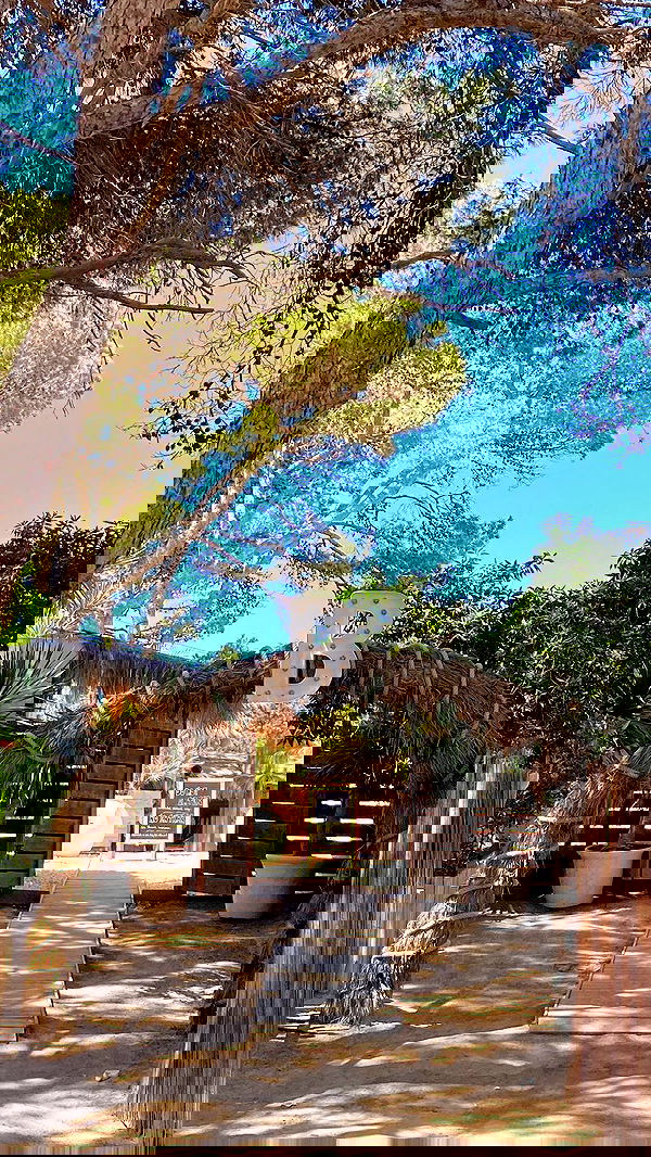 roni.benshushan roni.benshushan archive image