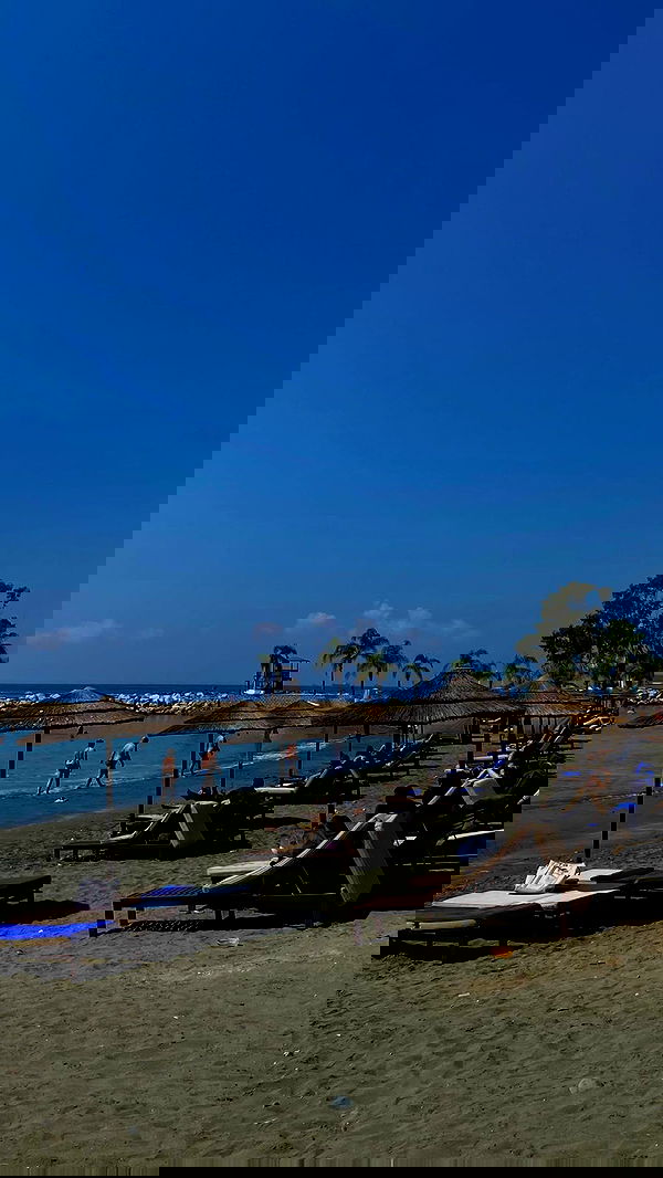 roni.benshushan roni.benshushan archive image