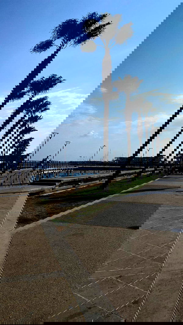 roni.benshushan roni.benshushan archive image