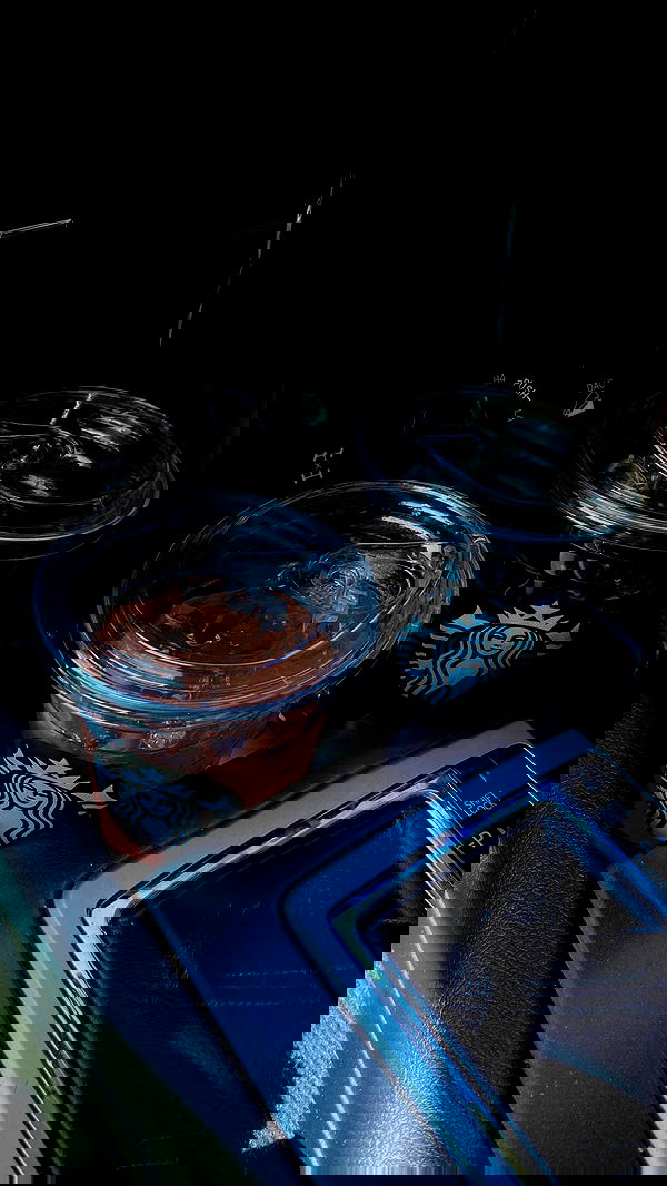 roni.benshushan roni.benshushan archive image