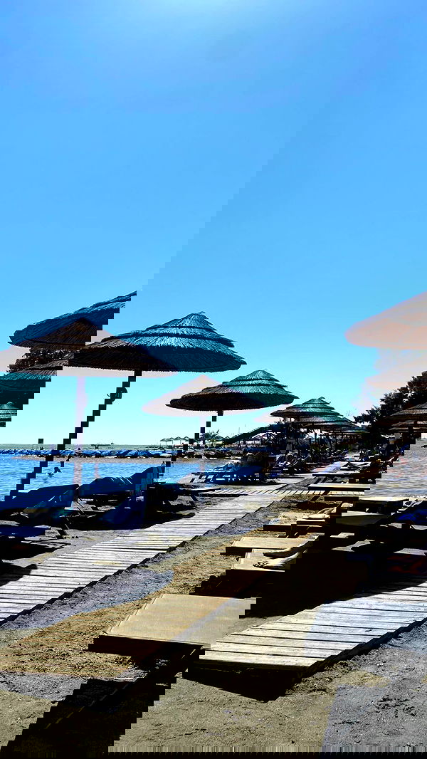 roni.benshushan roni.benshushan archive image