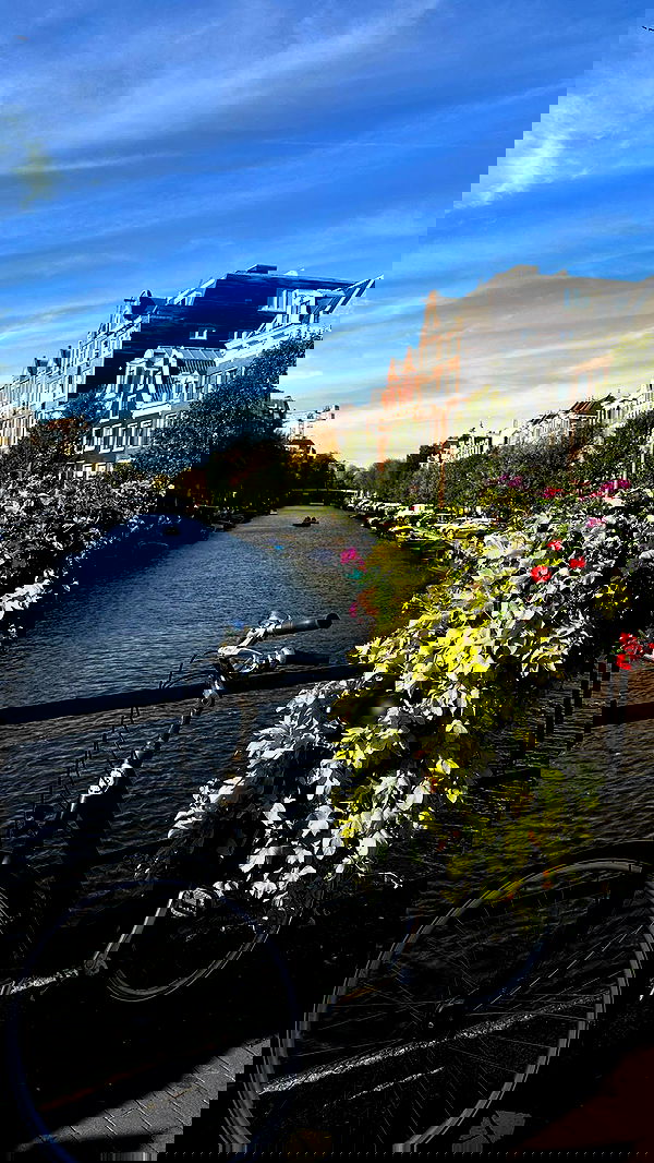 roni.benshushan roni.benshushan archive image