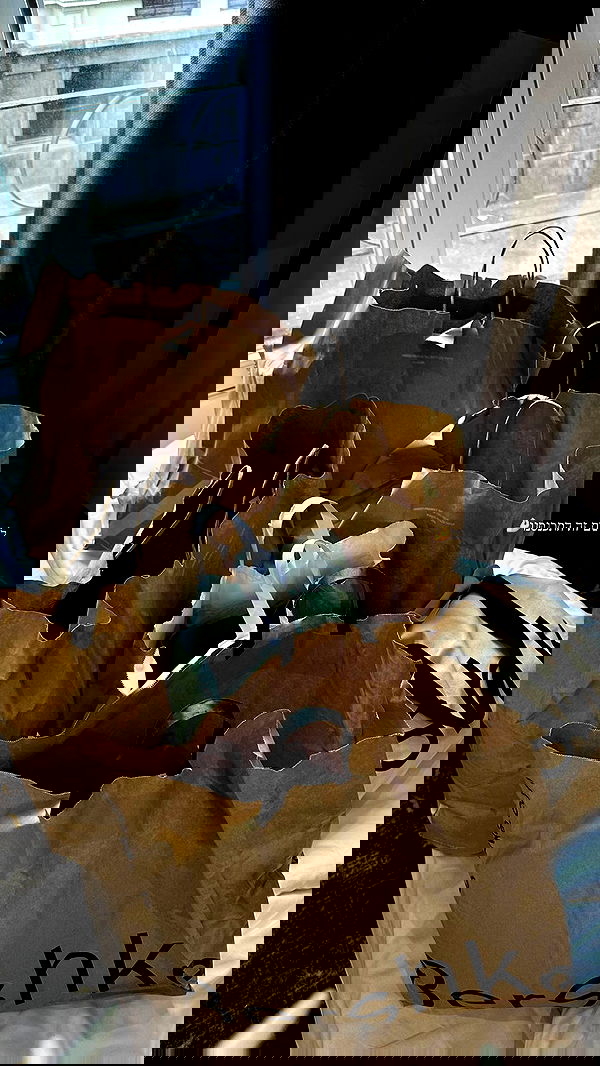 roni.benshushan roni.benshushan archive image