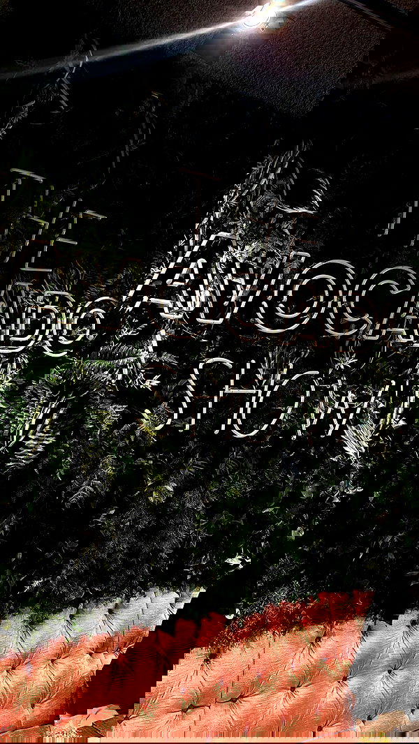 roni.benshushan roni.benshushan archive image