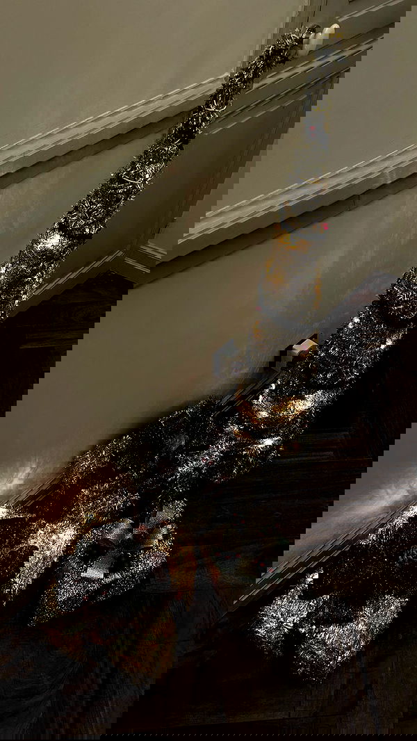 roni.benshushan roni.benshushan archive image