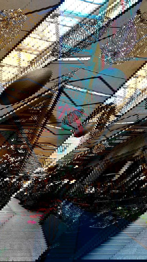 roni.benshushan roni.benshushan archive image