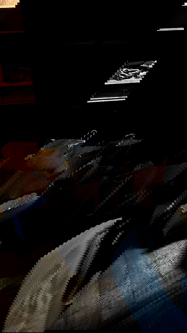 roni.benshushan roni.benshushan archive image