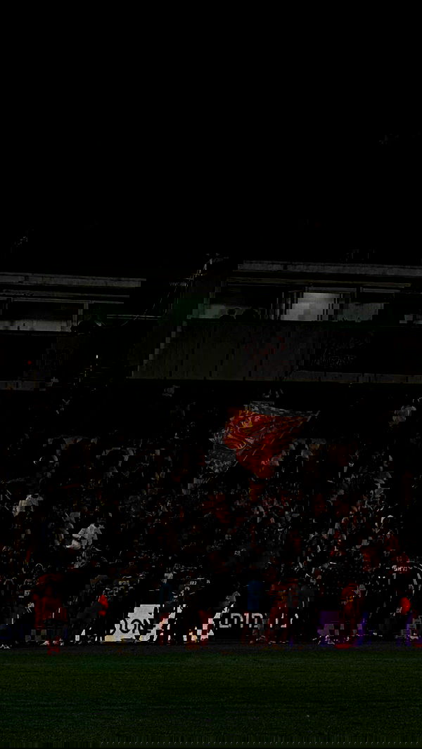 roni.benshushan roni.benshushan archive image