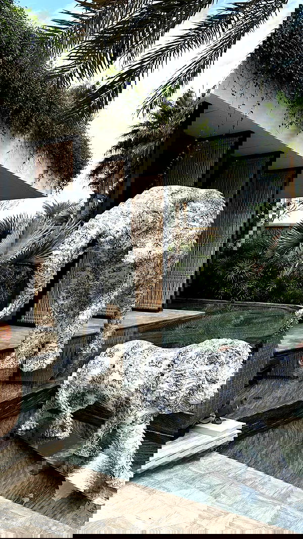 roni.benshushan roni.benshushan archive image