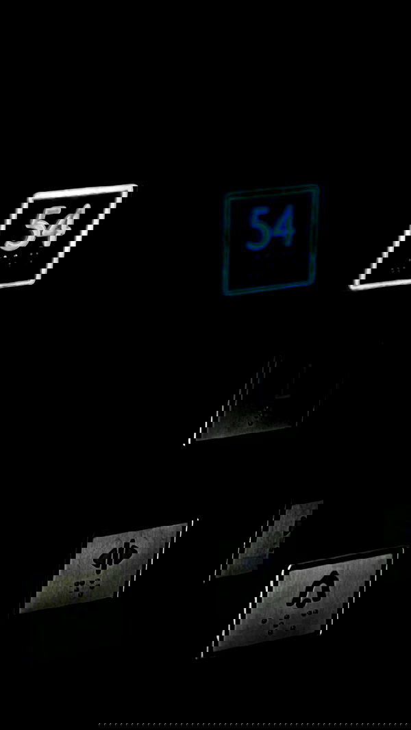 roni.benshushan roni.benshushan archive image