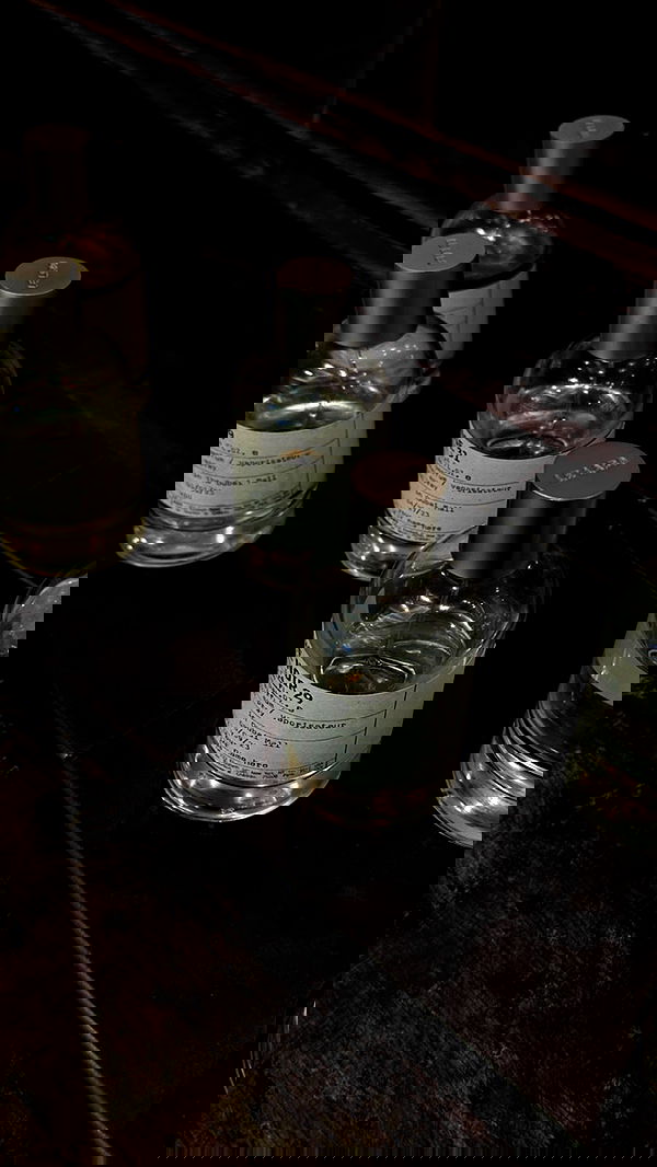 roni.benshushan roni.benshushan archive image