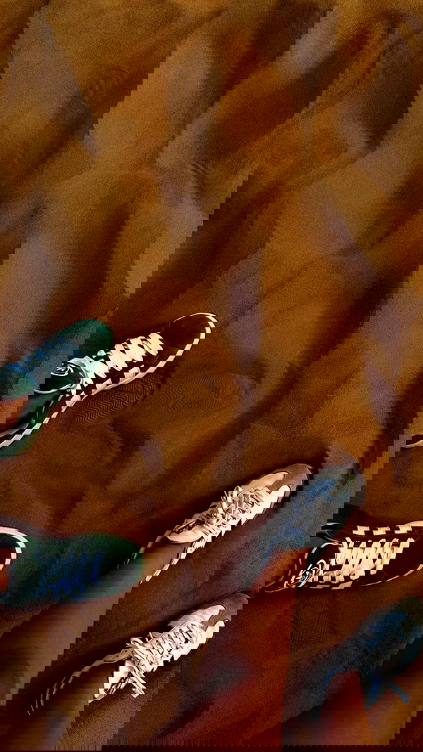 roni.benshushan roni.benshushan archive image