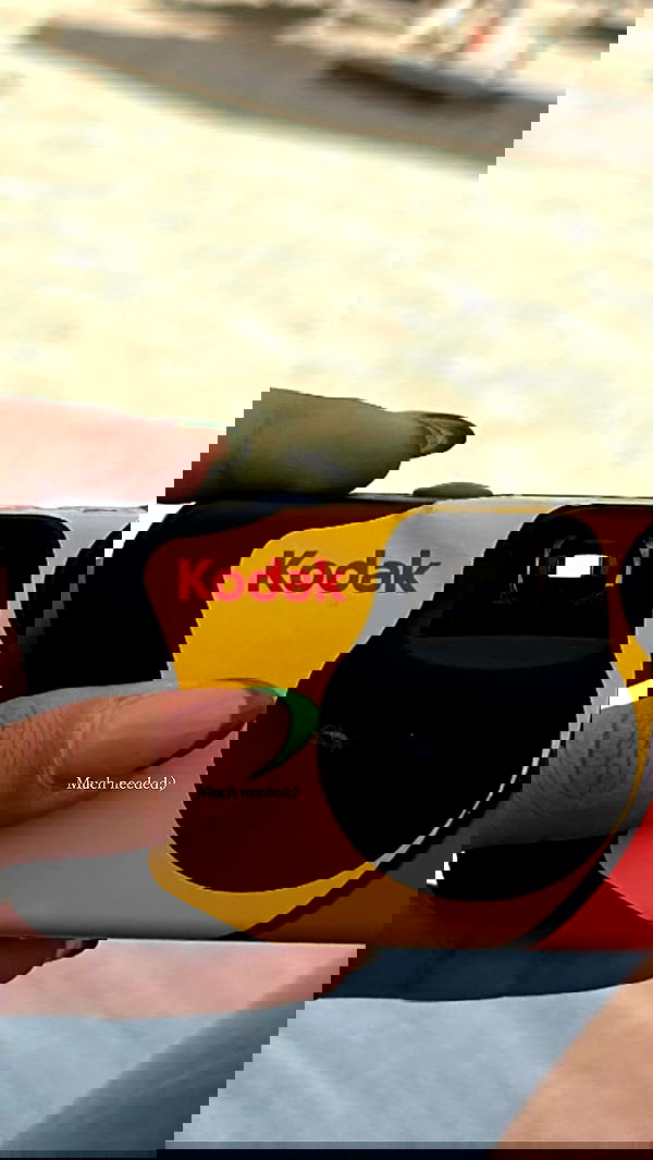 roni.benshushan roni.benshushan archive image