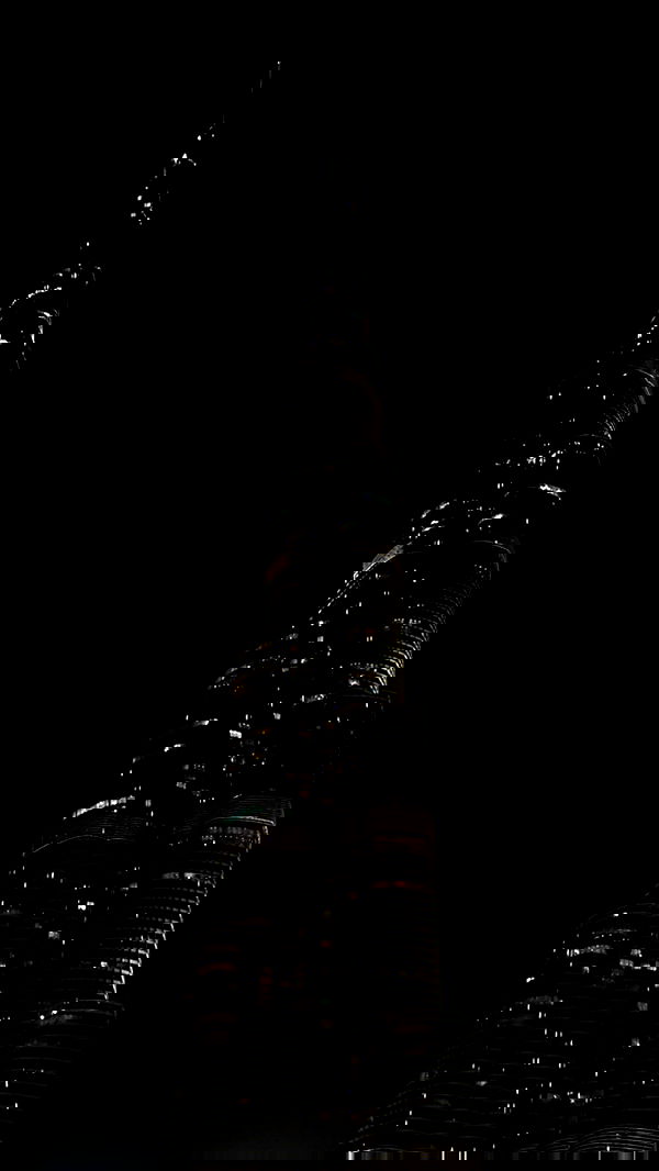 roni.benshushan roni.benshushan archive image