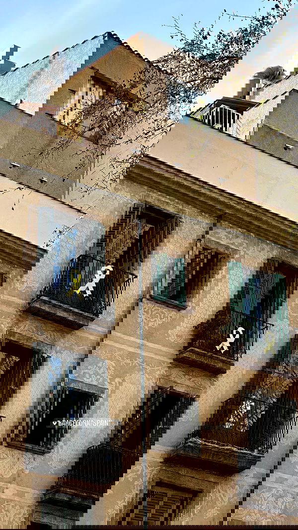 roni.benshushan roni.benshushan archive image