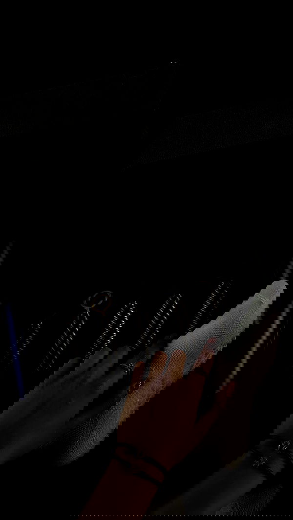 roni.benshushan roni.benshushan archive image