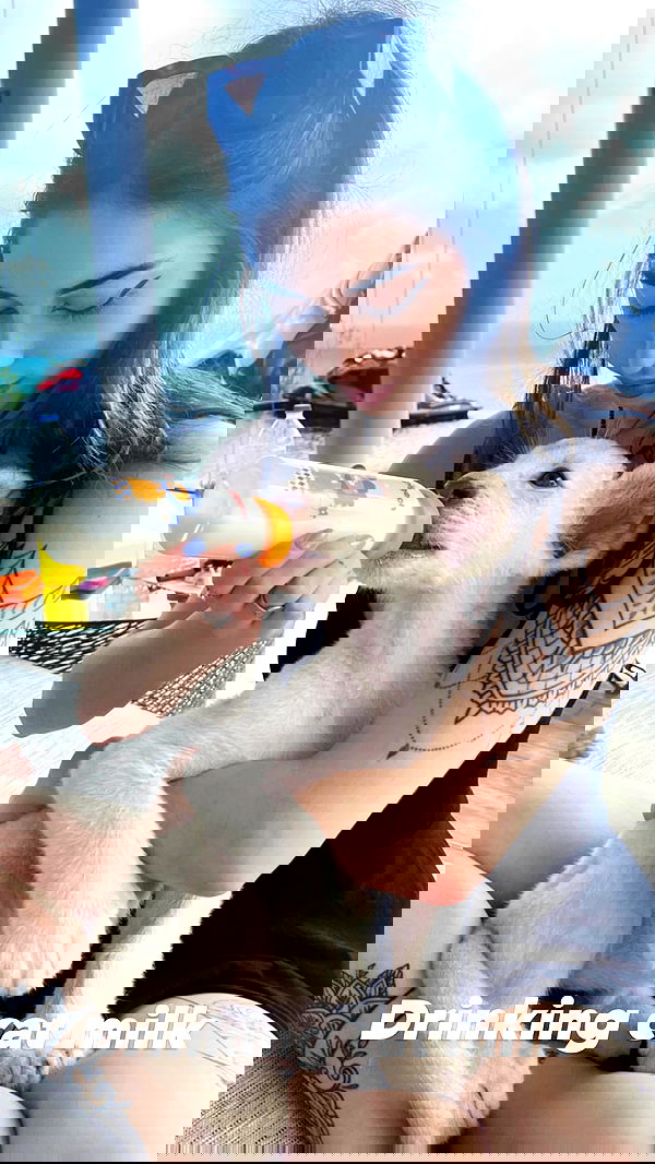 seilorkittyofficial seilorkittyofficial archive image