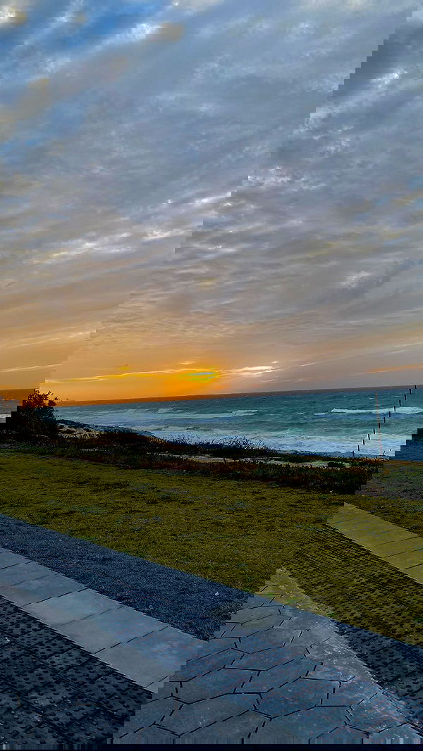 shanidahan7 image ~ Altpins