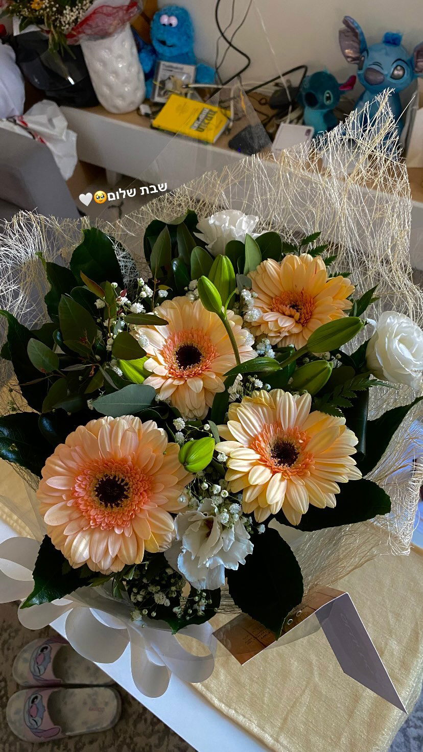 shanidahan7 instagram image archive image