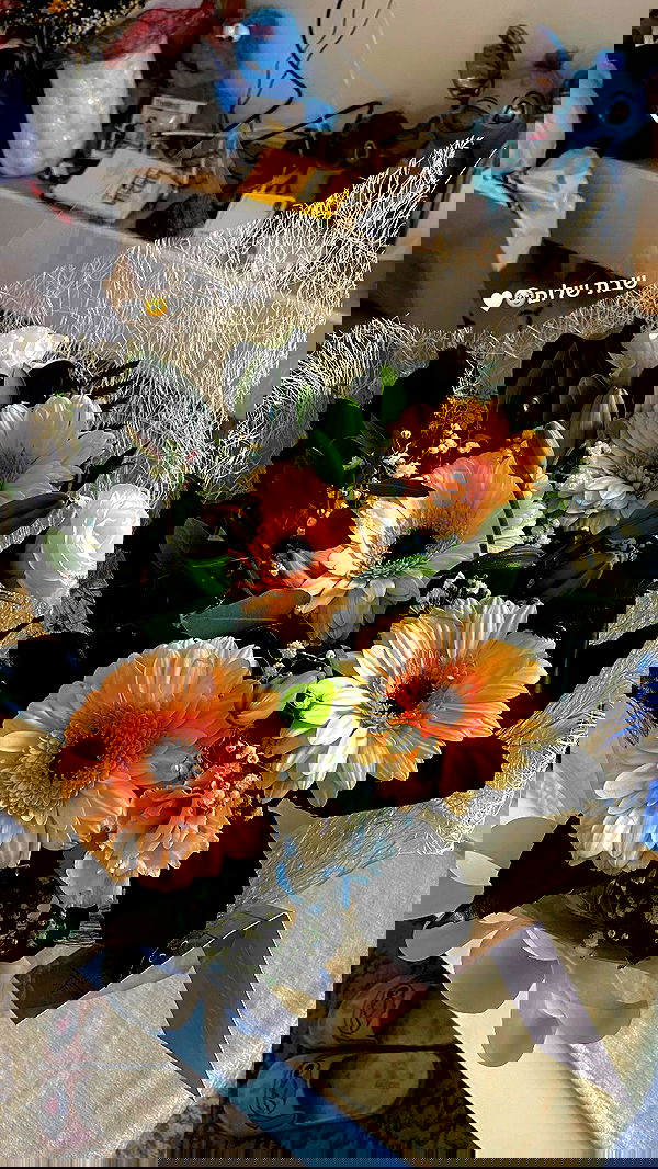 shanidahan7 image ~ Altpins