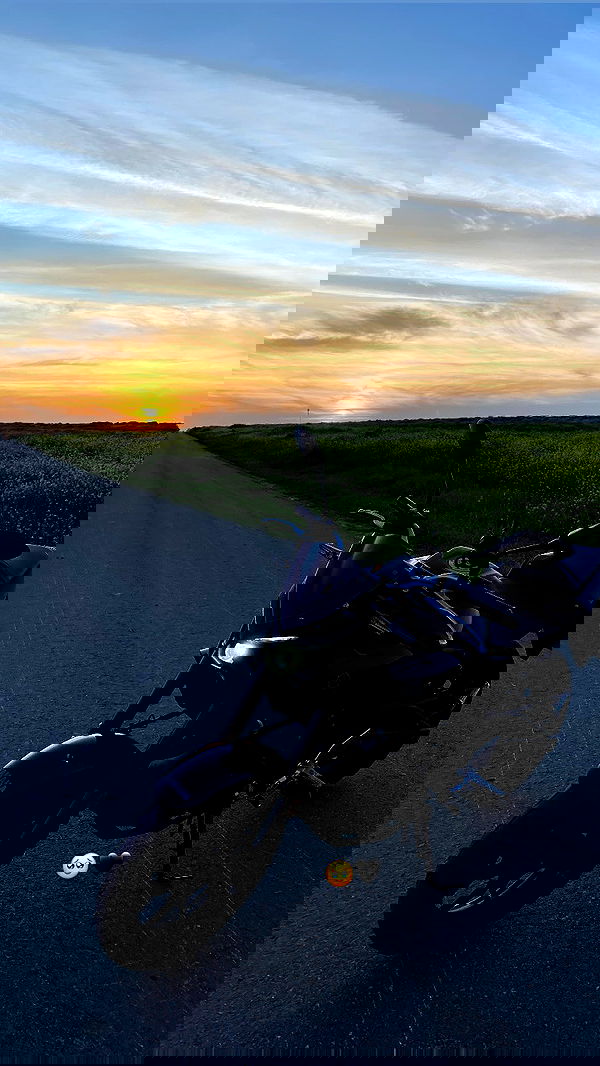 shanidahan7 image ~ Altpins