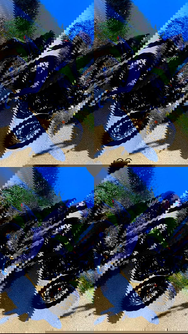 shanidahan7 image ~ Altpins